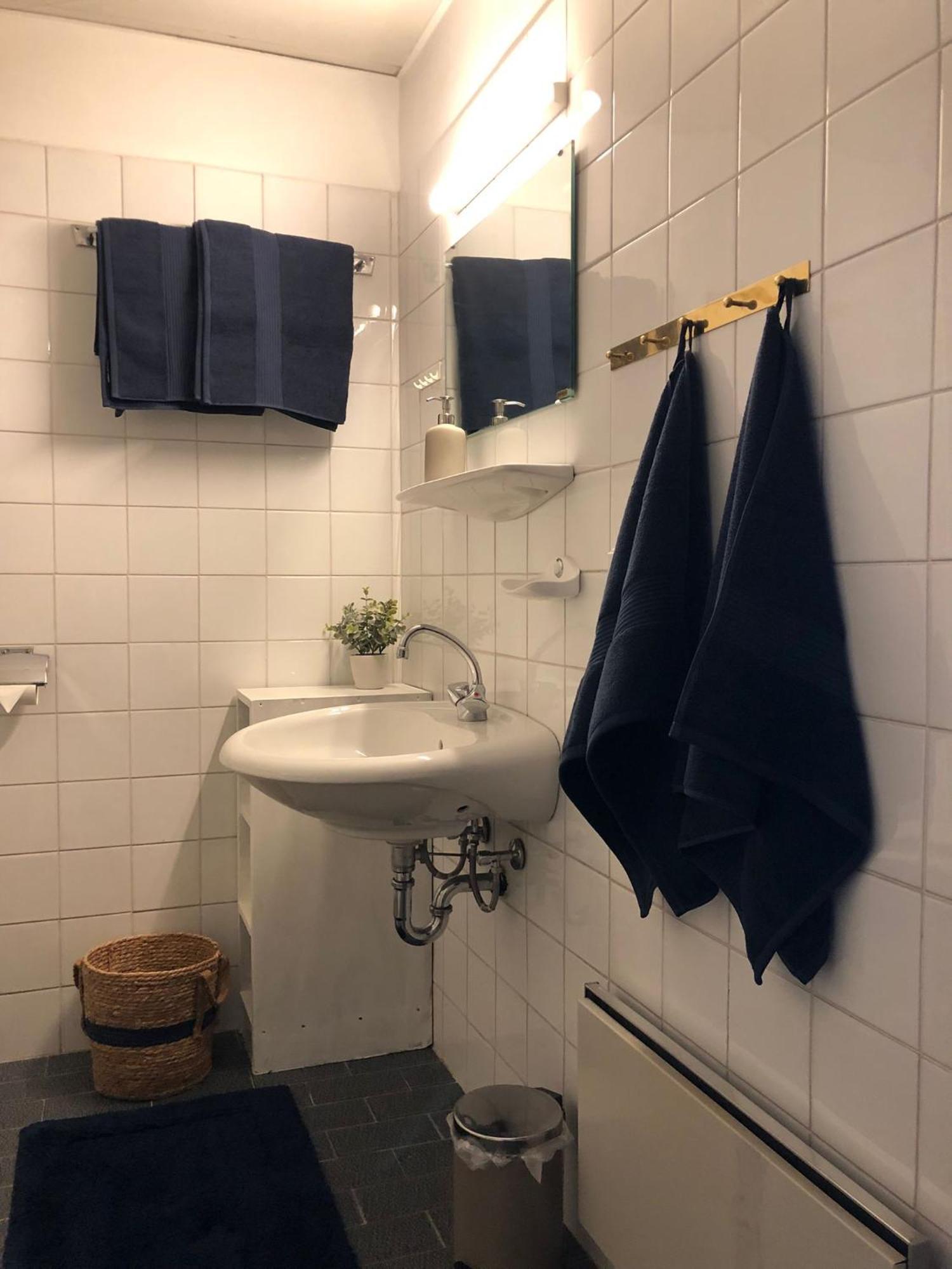 Appartement Mit Seeblick Am Ossiacher See فيلاخ المظهر الخارجي الصورة